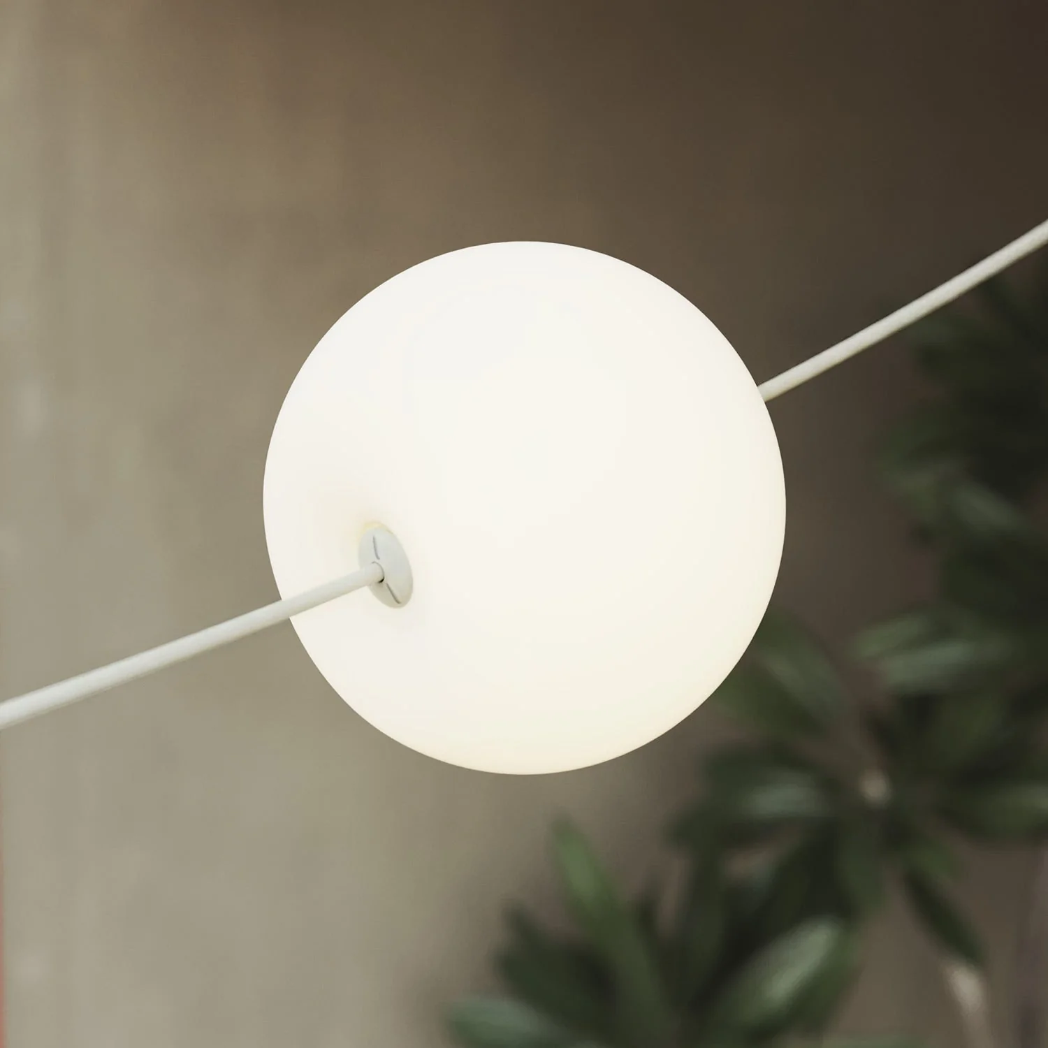Guirlande lumineuse d’extérieur 4 points lumineux pour environnements humides Blanc Sable, alimentation avec fiche US - Marina4 Cherry - Image 12